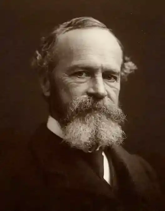 Portrait of William James