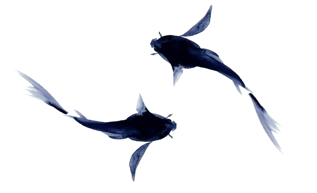 Fish 3